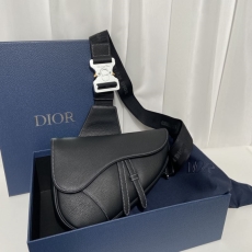 Christian Dior Saddle Bags